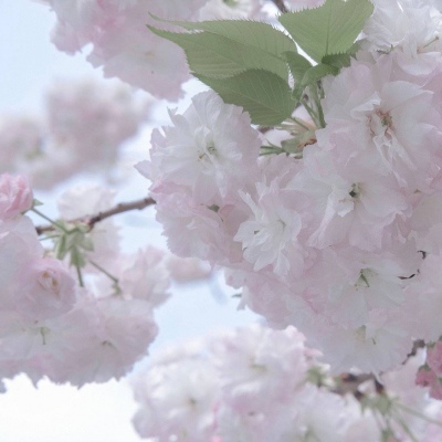 兽设黄昏场景设计兽圈群